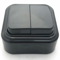 Лофт выключатель пластик о/у, 2-клавишный, 6А, чёрный (Black)